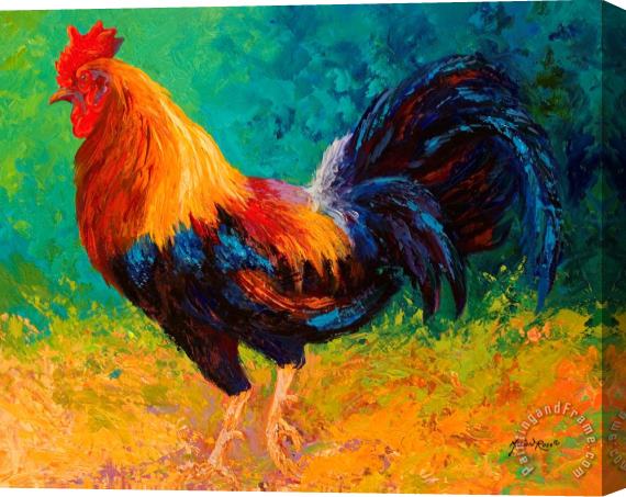 Marion Rose Mr Big - Rooster Stretched Canvas Print / Canvas Art
