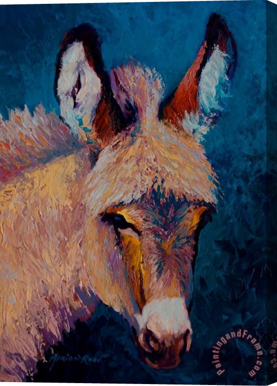 Marion Rose Mystic - Burro Stretched Canvas Painting / Canvas Art