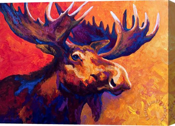 Marion Rose Noble Pause Stretched Canvas Painting / Canvas Art