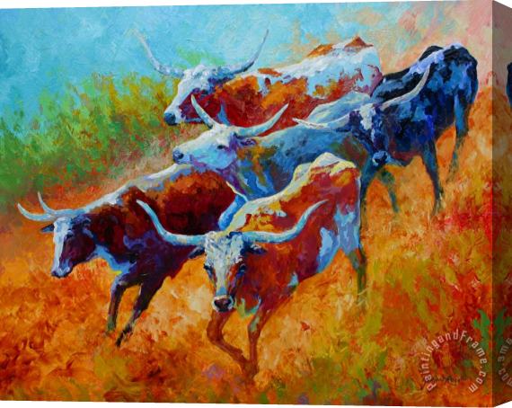 Marion Rose Over The Ridge - Longhorns Stretched Canvas Print / Canvas Art