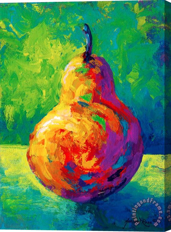 Marion Rose Pear II Stretched Canvas Print / Canvas Art