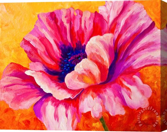 Marion Rose Pink Poppy Stretched Canvas Painting / Canvas Art