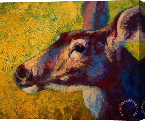 Marion Rose Portrait Of A Doe Stretched Canvas Painting / Canvas Art
