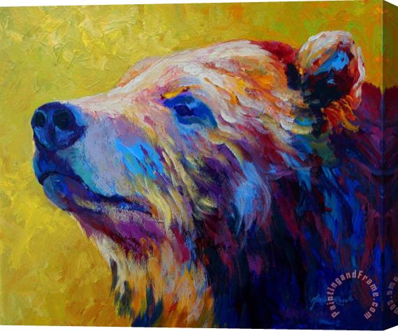 Marion Rose Pretty Boy - Grizzly Bear Stretched Canvas Print / Canvas Art