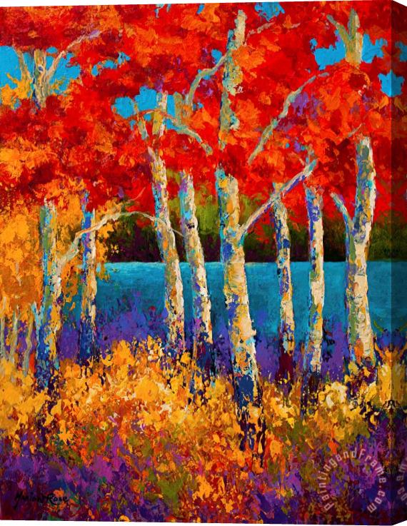 Marion Rose Red Birches Stretched Canvas Painting / Canvas Art