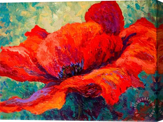 Marion Rose Red Poppy III Stretched Canvas Print / Canvas Art