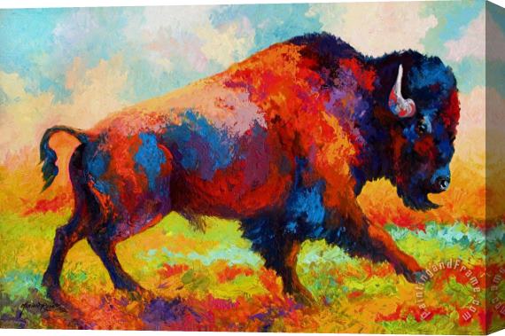 Marion Rose Running Free - Bison Stretched Canvas Painting / Canvas Art