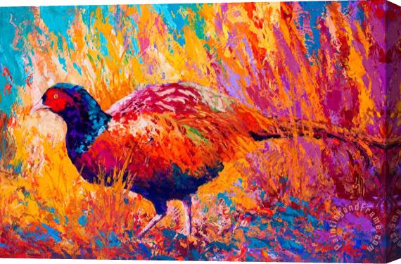 Marion Rose Secrets In The Grass - Pheasant Stretched Canvas Painting / Canvas Art