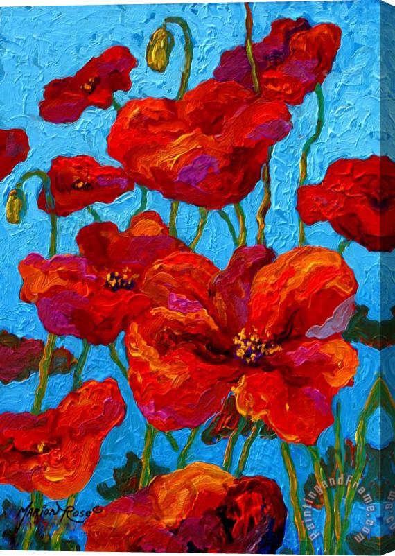 Marion Rose Spring Poppies Stretched Canvas Print / Canvas Art