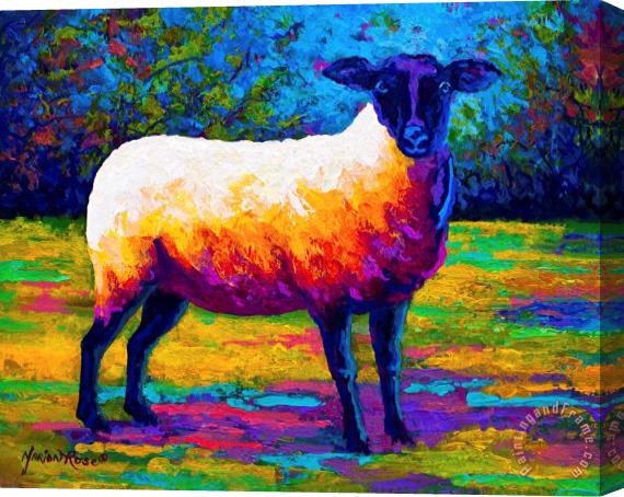 Marion Rose Suffolk Ewe 2 Stretched Canvas Painting / Canvas Art