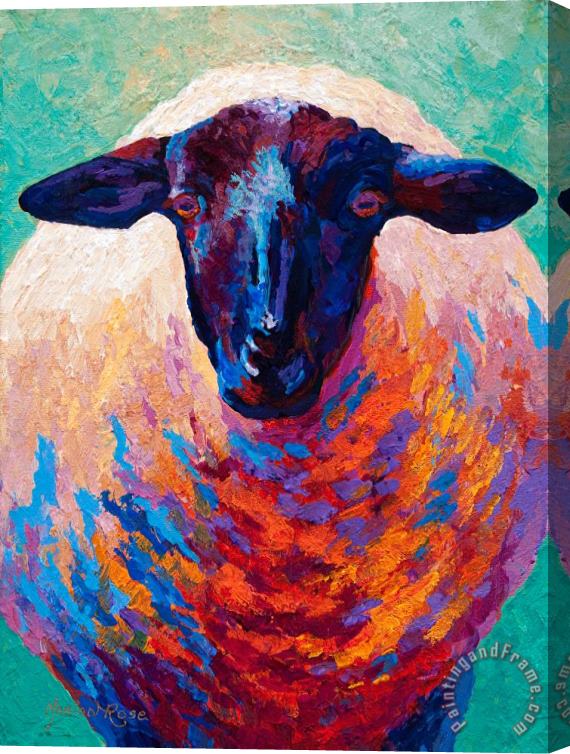 Marion Rose Suffolk Ewe Stretched Canvas Print / Canvas Art