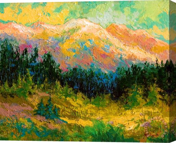 Marion Rose Summer High Country Stretched Canvas Painting / Canvas Art