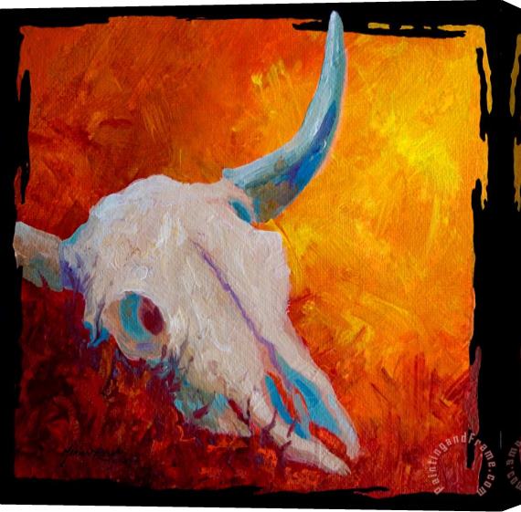 Marion Rose Texas Longhorn Skull Stretched Canvas Print / Canvas Art
