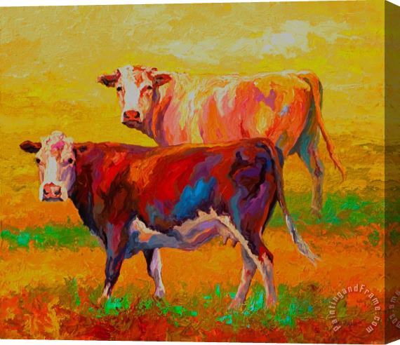 Marion Rose Two Cows Stretched Canvas Print / Canvas Art