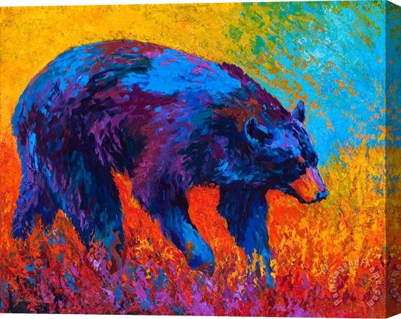 Marion Rose Walkabout Stretched Canvas Painting / Canvas Art