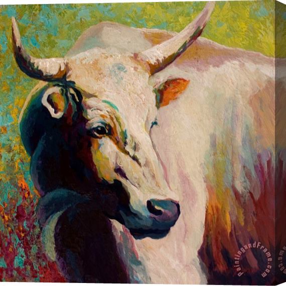 Marion Rose White Bull Portrait Stretched Canvas Painting / Canvas Art