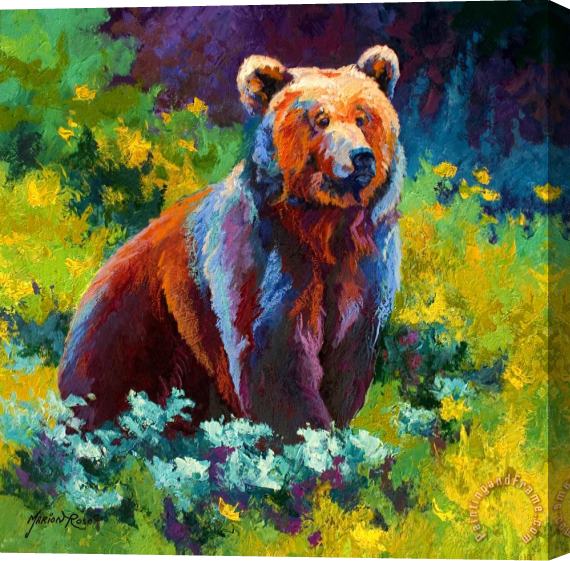 Marion Rose Wildflower Grizz Stretched Canvas Painting / Canvas Art