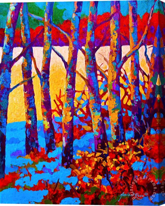 Marion Rose Winter's Promise Stretched Canvas Painting / Canvas Art