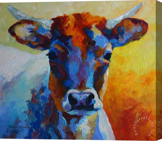 Marion Rose Young Blood - Longhorn Stretched Canvas Painting / Canvas Art