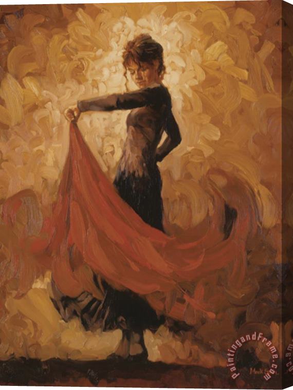 Mark Spain Flamenco I Stretched Canvas Painting / Canvas Art