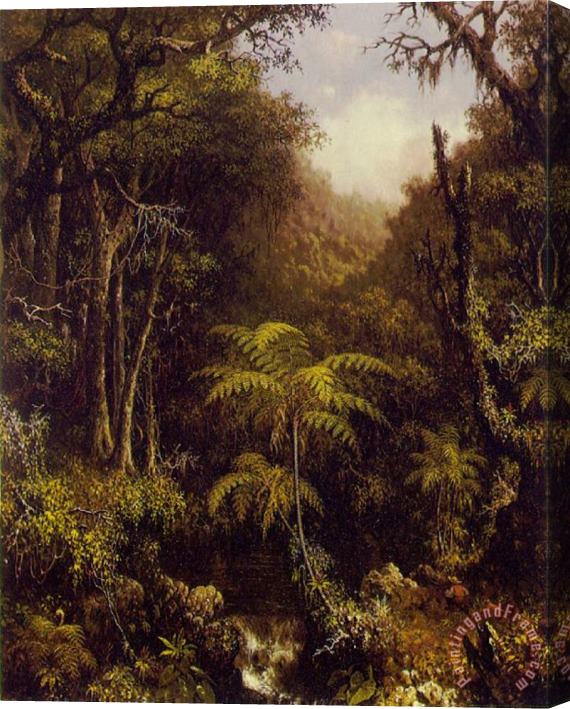 Martin Johnson Heade Brazilian Forest Stretched Canvas Painting / Canvas Art