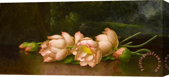 Martin Johnson Heade Lotus Flowers a Landscape Painting in The Background Stretched Canvas Print / Canvas Art