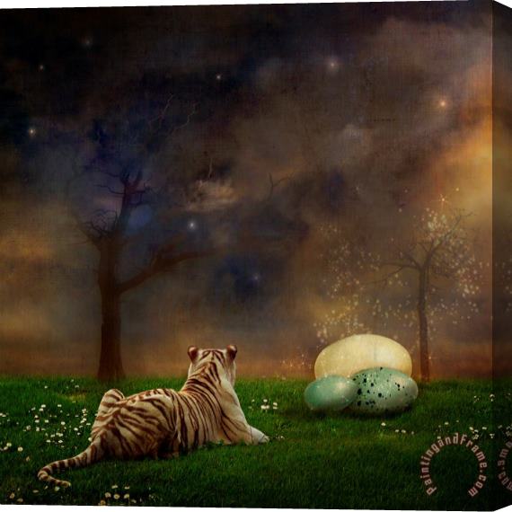 Martine Roch The magical of life Stretched Canvas Print / Canvas Art