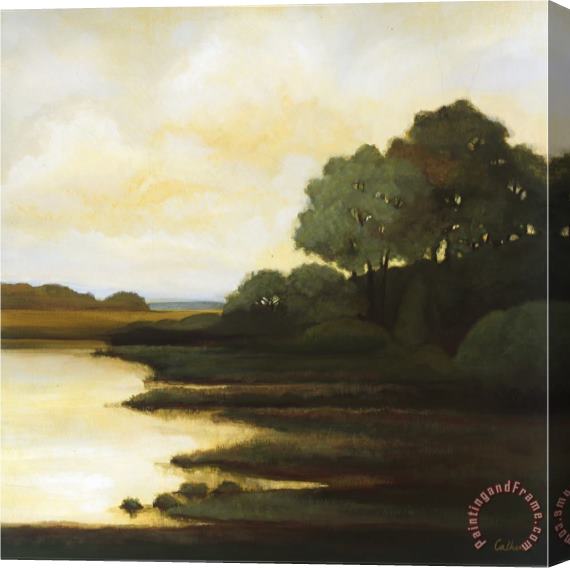 Mary Calkins Serenity I Stretched Canvas Painting / Canvas Art