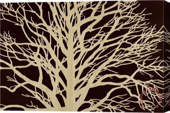 Mary Calkins Tree in Sepia Stretched Canvas Print / Canvas Art