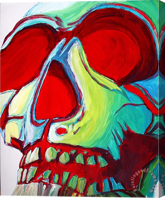 Megan Aroon Duncanson Skull Stretched Canvas Painting / Canvas Art