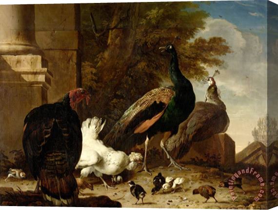 Melchior de Hondecoeter A Hen with Peacocks And a Turkey Stretched Canvas Painting / Canvas Art
