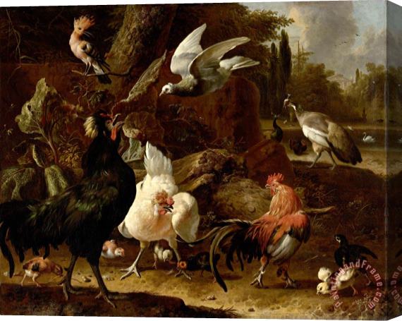 Melchior de Hondecoeter Birds in a Park Stretched Canvas Painting / Canvas Art
