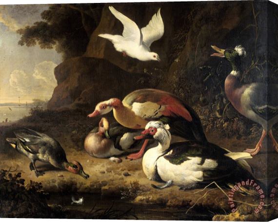 Melchior de Hondecoeter Ducks Stretched Canvas Painting / Canvas Art