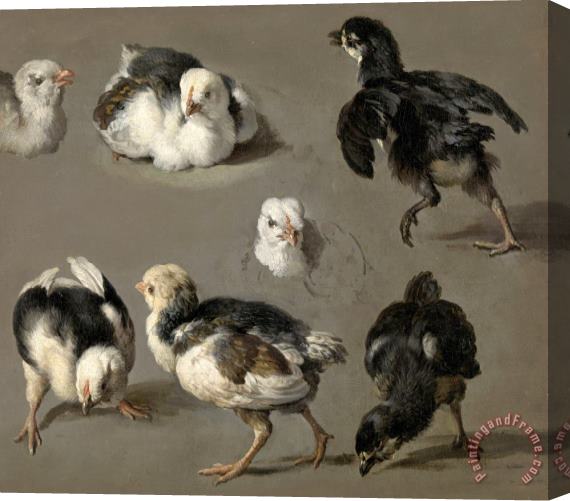 Melchior de Hondecoeter Seven Chicks Stretched Canvas Print / Canvas Art