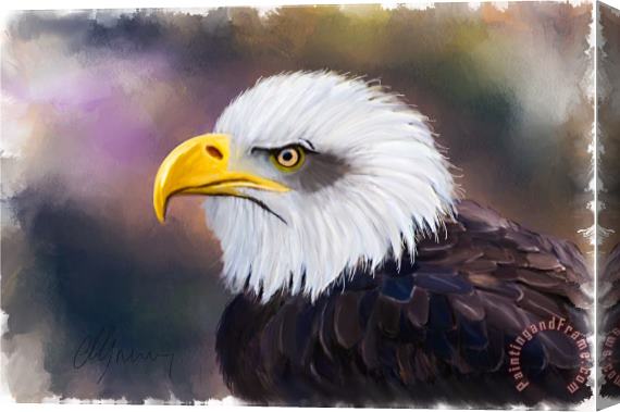 Michael Greenaway Eagle Portrait Stretched Canvas Painting / Canvas Art