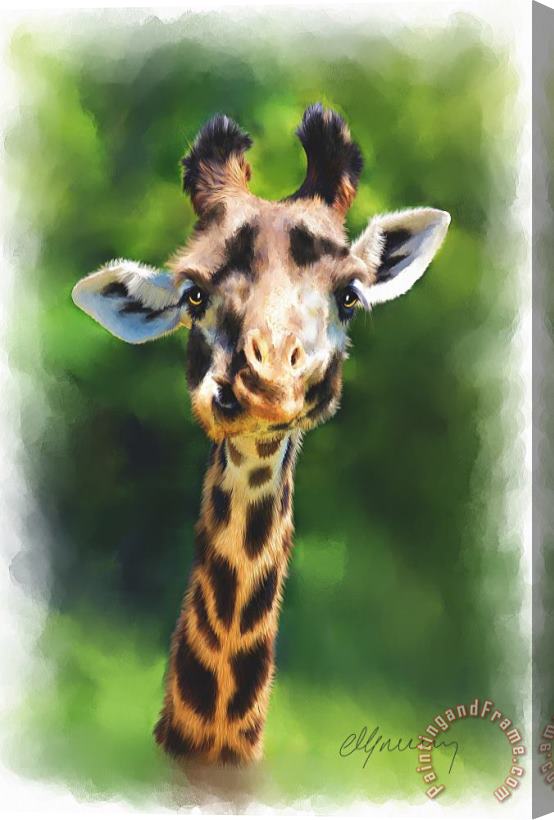 Michael Greenaway Funny Giraffe Stretched Canvas Print / Canvas Art