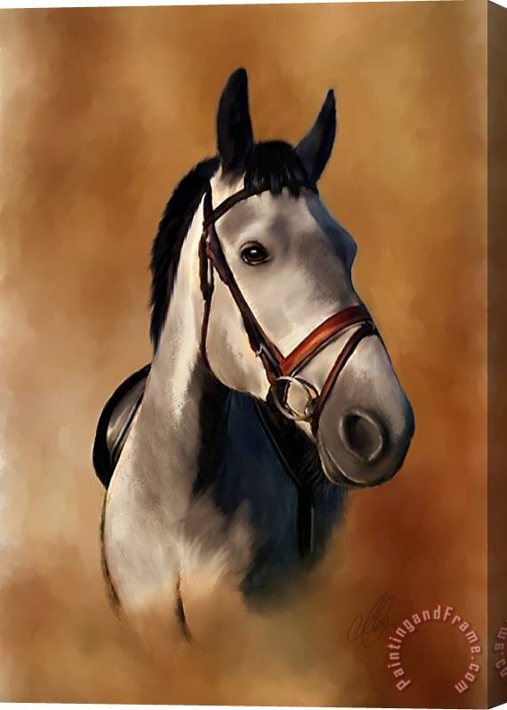 Michael Greenaway Horse Portrait Stretched Canvas Print / Canvas Art
