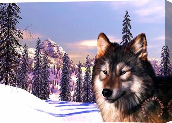 Michael Greenaway Mountain Wolf Portrait Stretched Canvas Print / Canvas Art