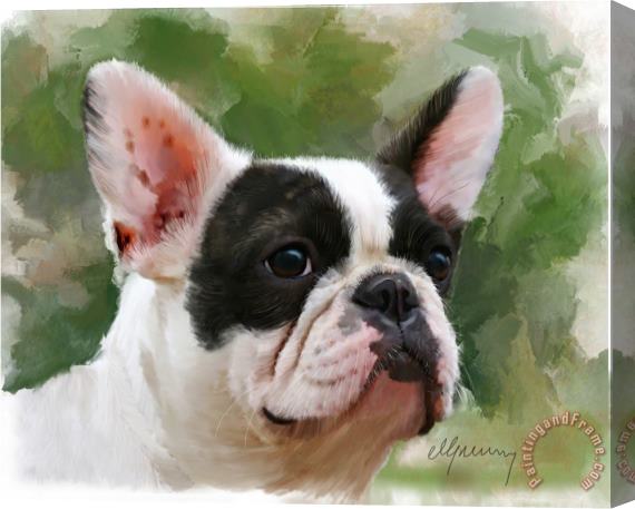 Michael Greenaway Pet Bulldog Portrait Stretched Canvas Painting / Canvas Art