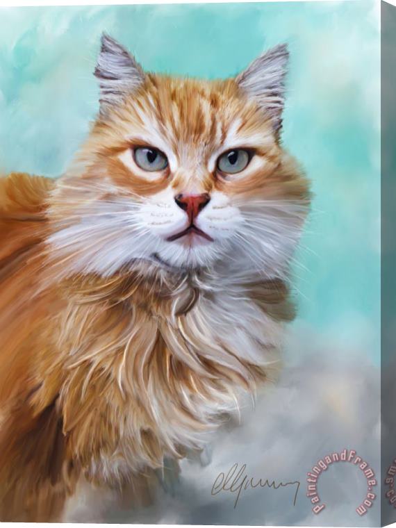 Michael Greenaway Pet Cat Portrait Stretched Canvas Print / Canvas Art