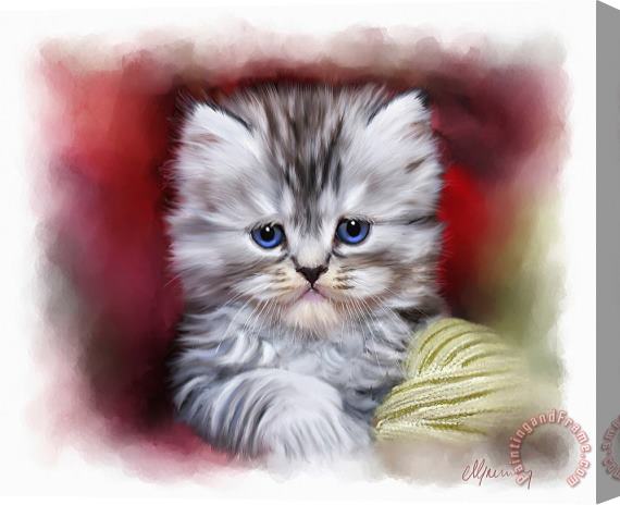 Michael Greenaway Pet Cat Portrait Stretched Canvas Painting / Canvas Art