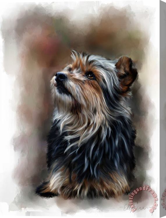 Michael Greenaway Pet Dog Portrait Stretched Canvas Print / Canvas Art