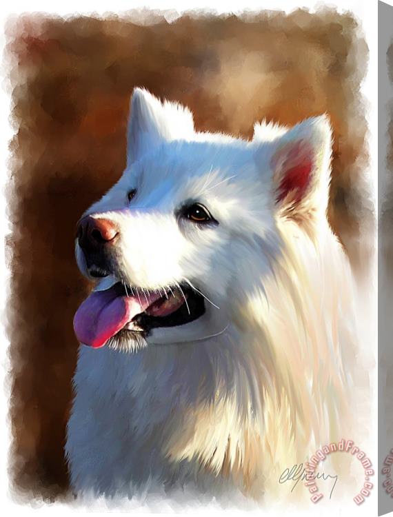 Michael Greenaway Samoyed Polar Dog Portrait Stretched Canvas Print / Canvas Art