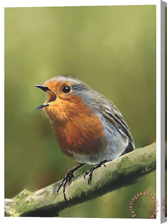 Michael Greenaway Sing Red Robin Sing Stretched Canvas Print / Canvas Art
