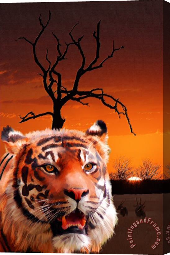 Michael Greenaway Wildlife Sunset Stretched Canvas Painting / Canvas Art