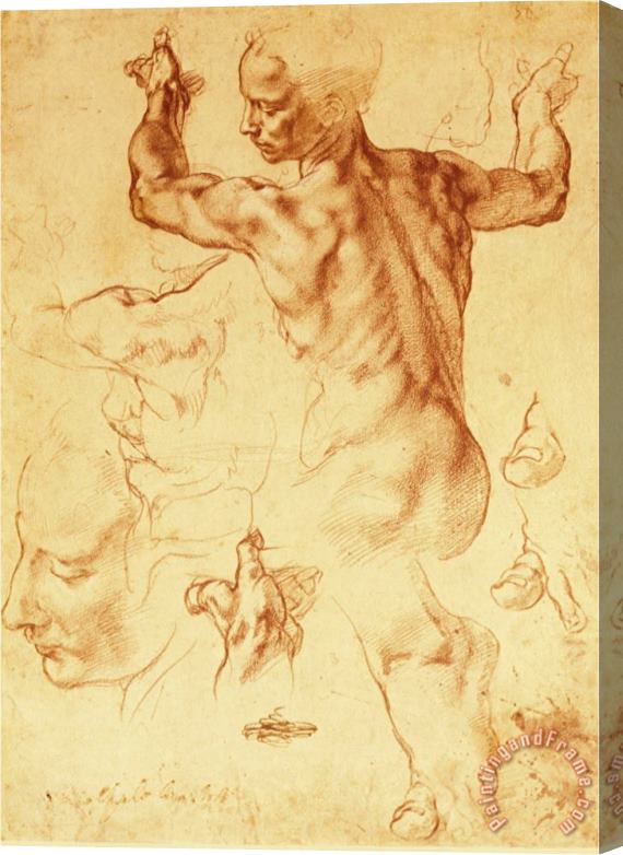 Michelangelo Buonarroti Anatomy Sketches Libyan Sibyl Stretched Canvas Painting / Canvas Art