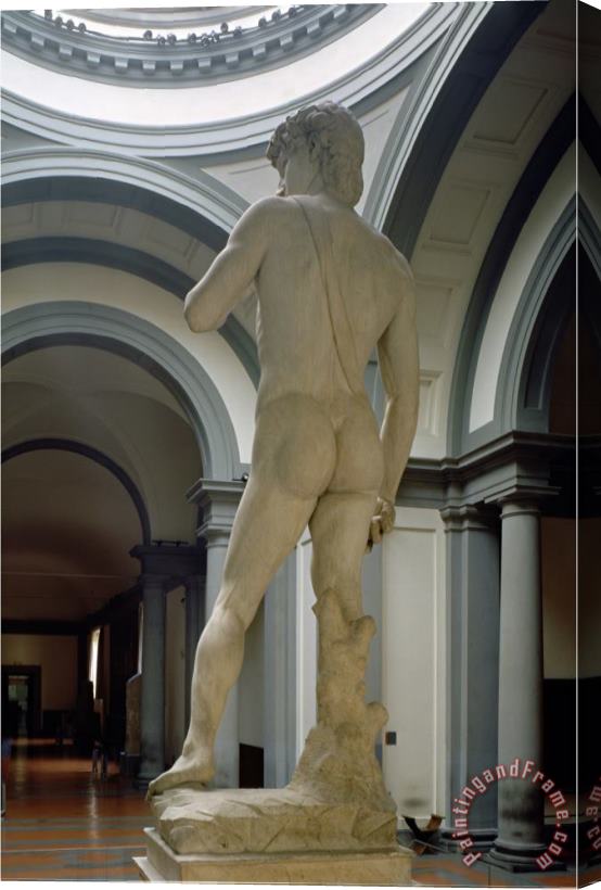 Michelangelo Buonarroti David View From Behind 1504 Stretched Canvas Print / Canvas Art