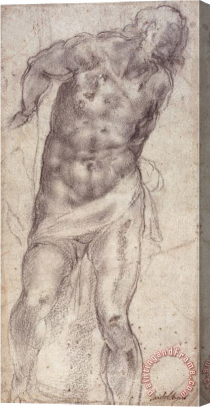 Michelangelo Buonarroti Figure Study Stretched Canvas Painting / Canvas Art