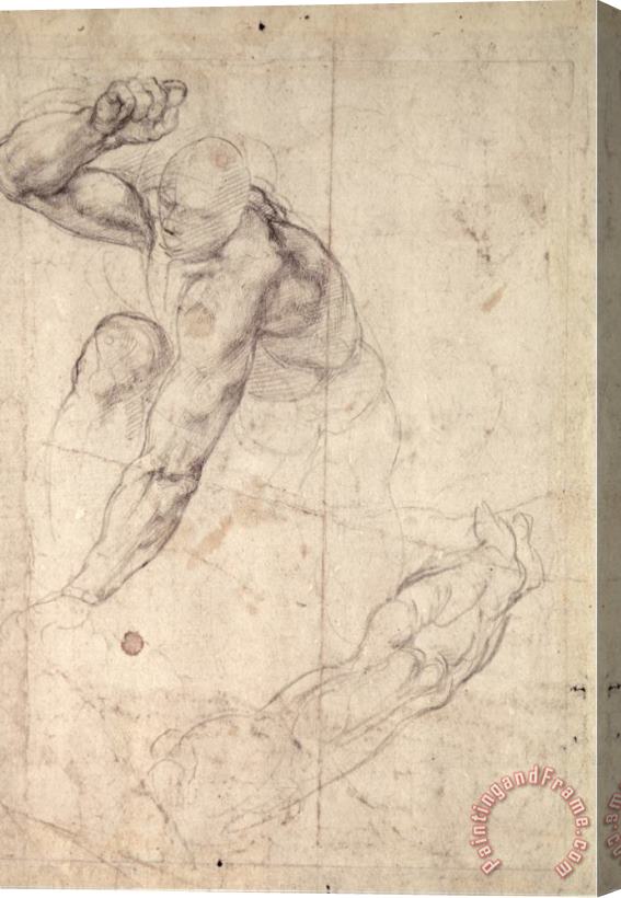 Michelangelo Buonarroti Male Figure Study Stretched Canvas Print / Canvas Art