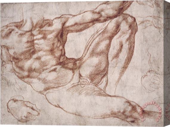 Michelangelo Buonarroti Michelangelo Study for Adam Stretched Canvas Painting / Canvas Art